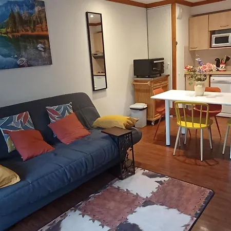 Cocon Cosy - Piscine Couverte Chauffee - Super-besse Apartment